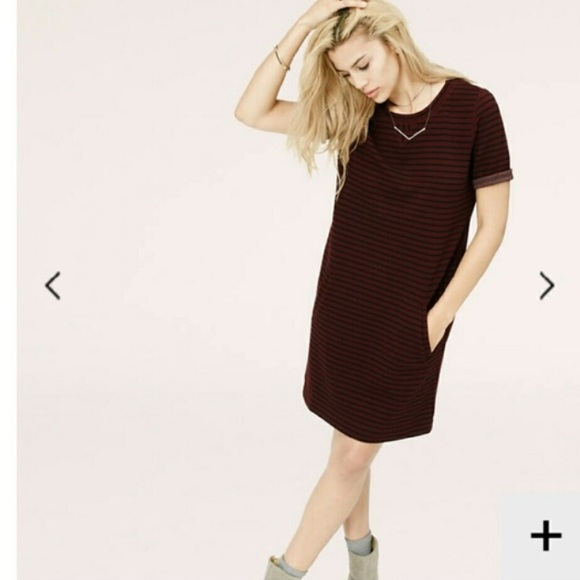 NWOT NOT WORN Lou & Grey Dress - Picture 1 of 4